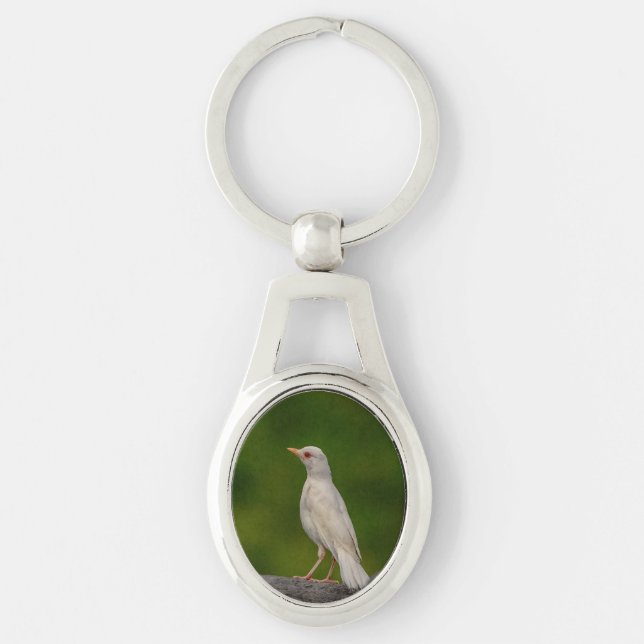 Albino Robin in Crown Point Key Ring (Front)