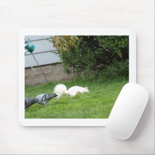 Albino Squirrel n Pigeons Mouse Pad
