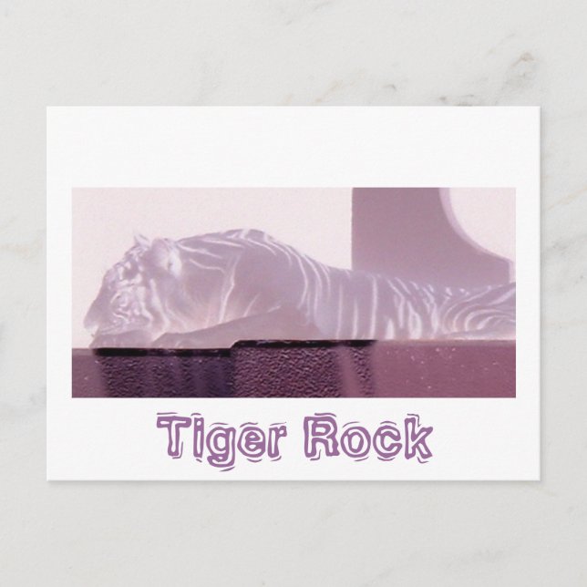 Albino Tiger Postcard (Front)