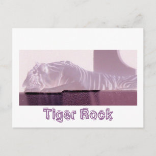 Albino Tiger Postcard