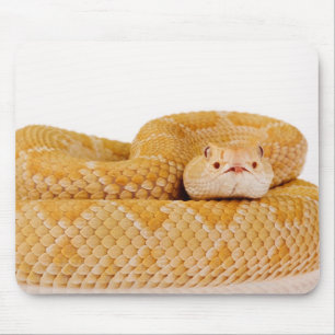 Albino Western diamondback rattlesnake (Crotalus A Mouse Pad