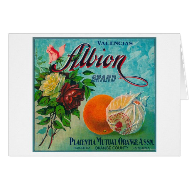 Albion Brand Citrus Crate Label (Front Horizontal)
