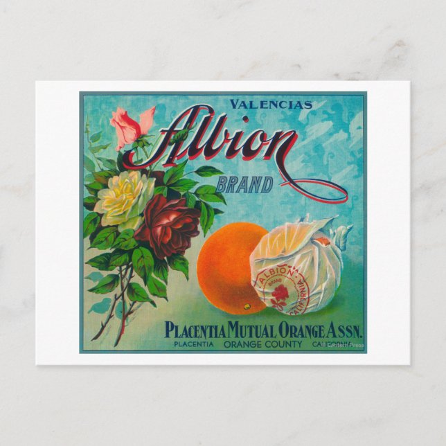 Albion Brand Citrus Crate Label Postcard (Front)