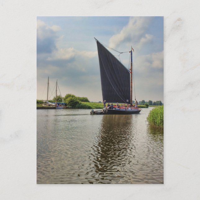 Albion on the River Thurne Postcard (Front)