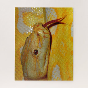 Alboino Burmese Python Jigsaw Puzzle