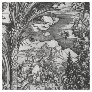 Albrecht Dürer Black and White Fabric