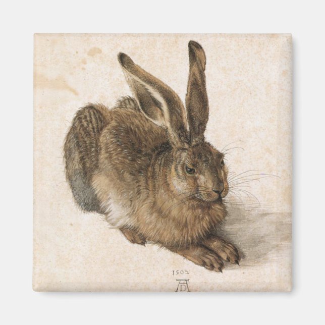 Albrecht Dürer - Junger Hase (Young Hare), 1502 Magnet (Front)