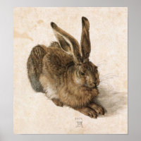 Albrecht Dürer - Junger Hase (Young Hare), 1502