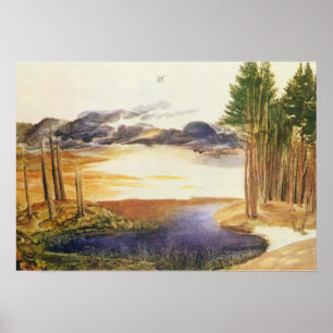 Albrecht Durer Pond in the wood Poster