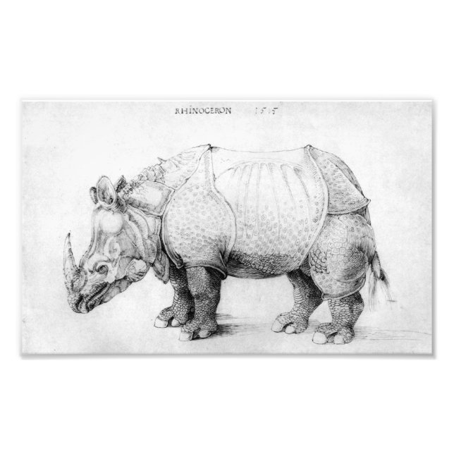 Albrecht Durer Rhinoceros Photo Print (Front)