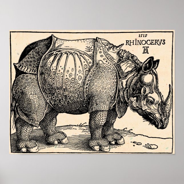 Albrecht Dürer Rhinoceros Poster (Front)
