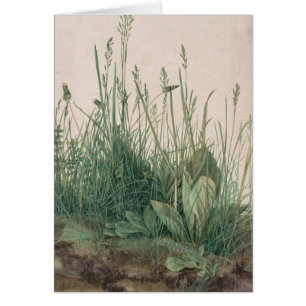 Albrecht Durer Sketch