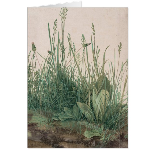 Albrecht Durer Sketch (Front)