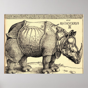 Albrecht Durer Sketching Poster