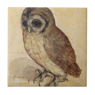 Albrecht Durer - The Little Owl Ceramic Tile