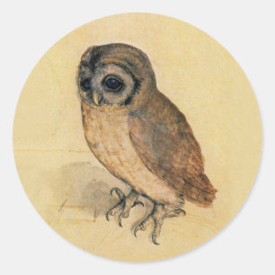 Albrecht Durer The Little Owl Classic Round Sticker