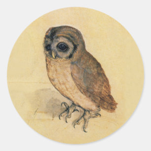 Albrecht Durer The Little Owl Classic Round Sticker