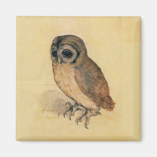 Albrecht Durer The Little Owl Magnet