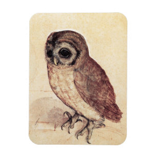 Albrecht Durer The Little Owl Magnet