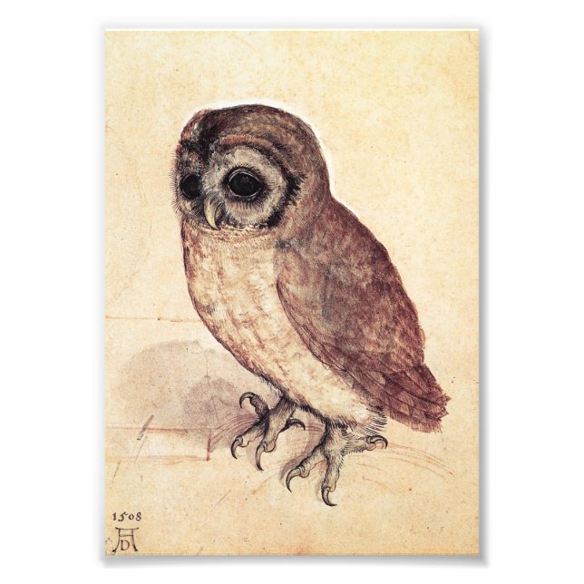 Albrecht Durer The Little Owl Print (Front)
