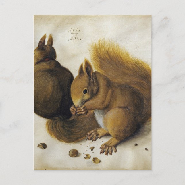 Albrecht Durer - Two Squirrels, One Eating A Hazel Postcard (Front)