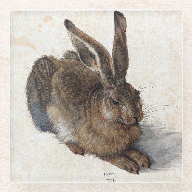 Albrecht Dürer, Young Hare, 1502 Glass Coaster (Front)