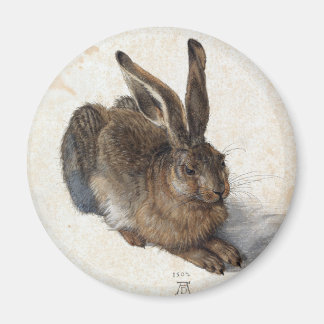 Albrecht Dürer, Young Hare, 1502 Magnet