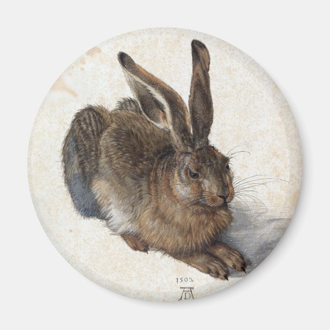 Albrecht Dürer, Young Hare, 1502 Magnet (Front)