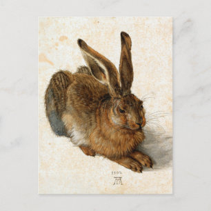ALBRECHT DÜRER - Young hare 1502 Postcard