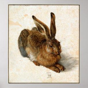 ALBRECHT DÜRER - Young hare 1502 Poster