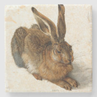 ALBRECHT DÜRER - Young hare 1502