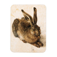 Albrecht Durer Young Hare