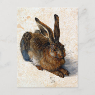 Albrecht Dürer Young Hare Postcard