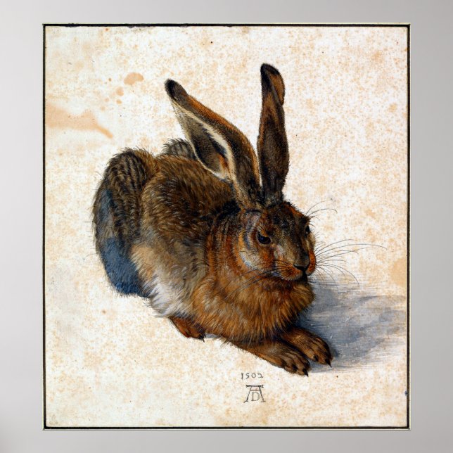 Albrecht Durer Young Hare Poster (Front)
