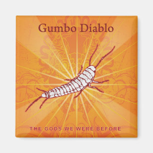 Album Cover Magnet