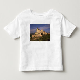 Alcazar and Cathedral, Segovia, Castile Leon, Toddler T-Shirt