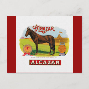 Alcazar the Race Horse Postcard