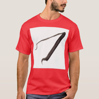 Alchemical Symbols Magnet T-Shirt