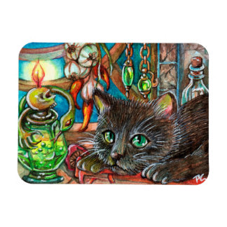 Alchemist's Cat Magnet