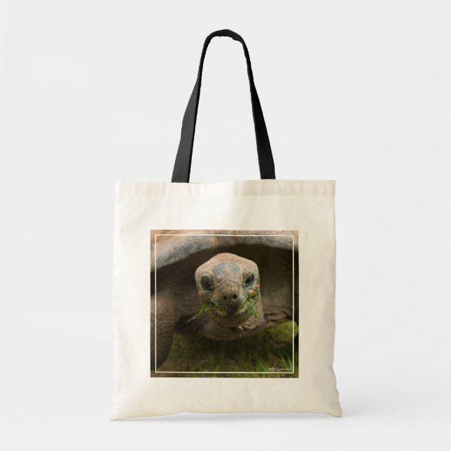 Aldabra Tortoise Feeding Tote Bag (Front)