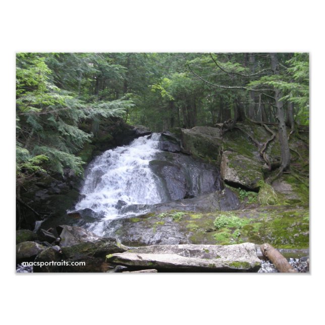 Alder Falls Photo Print (Front)