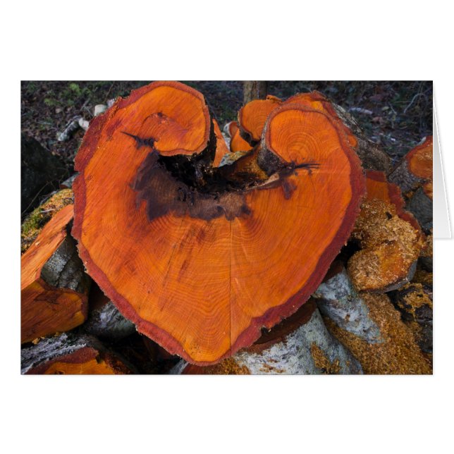 Alder Heart - Card (Front Horizontal)