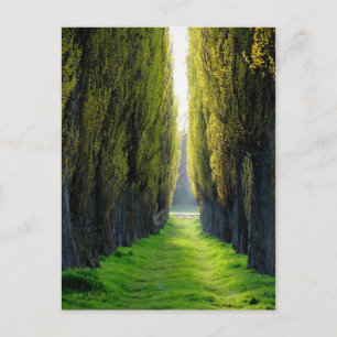 ALEJAWroclaw Poland Postcard