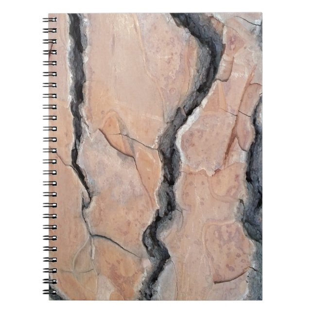 Aleppo pine notebook (Front)