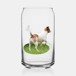 "Alert and Ready: A Brown and White Fox Terrier Can Glass