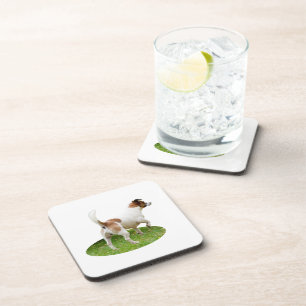 "Alert and Ready: A Brown and White Fox Terrier Coaster