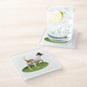 "Alert and Ready: A Brown and White Fox Terrier Glass Coaster