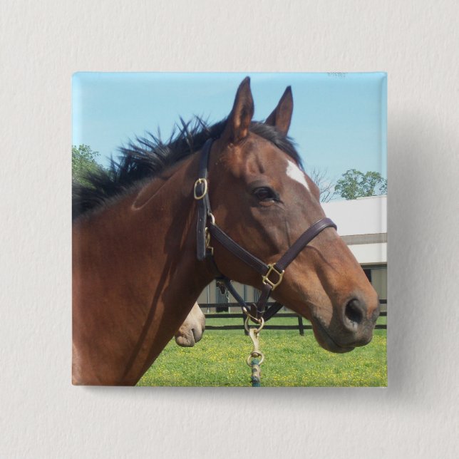 Alert Arab Horse Pin (Front)