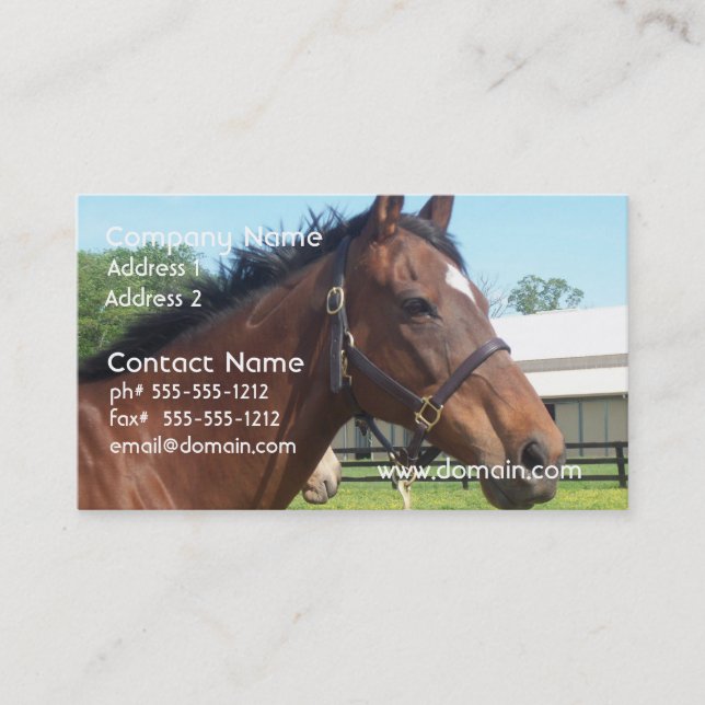 Alert Arabian Horse Business Card (Front)