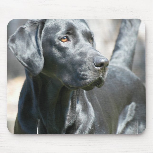 Alert Black Lab Mouse Pad (Front)